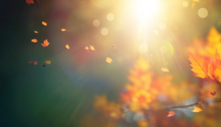 shutterstock_2323509881_740x425_acf_cropped